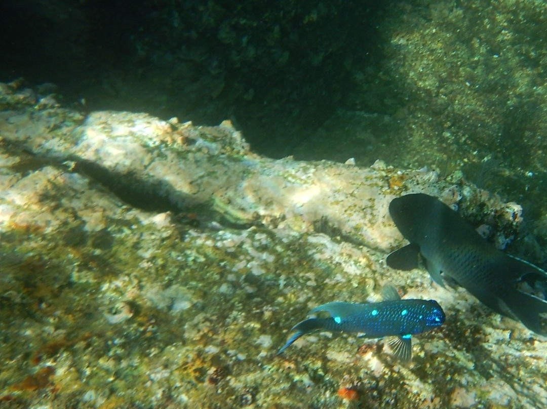 Pelican Rock-卡波圣卢卡斯必去景点