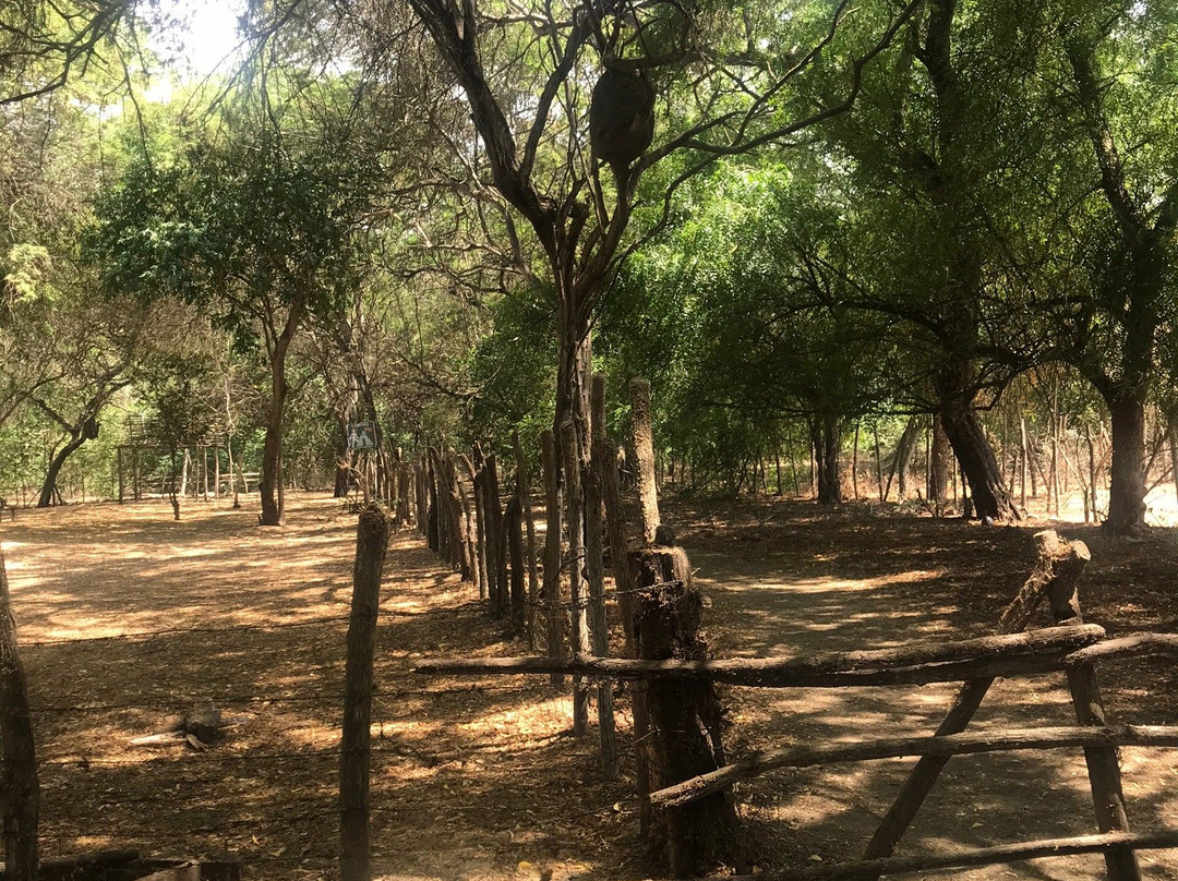 Agua Blanca-Machalilla National Park必去景点