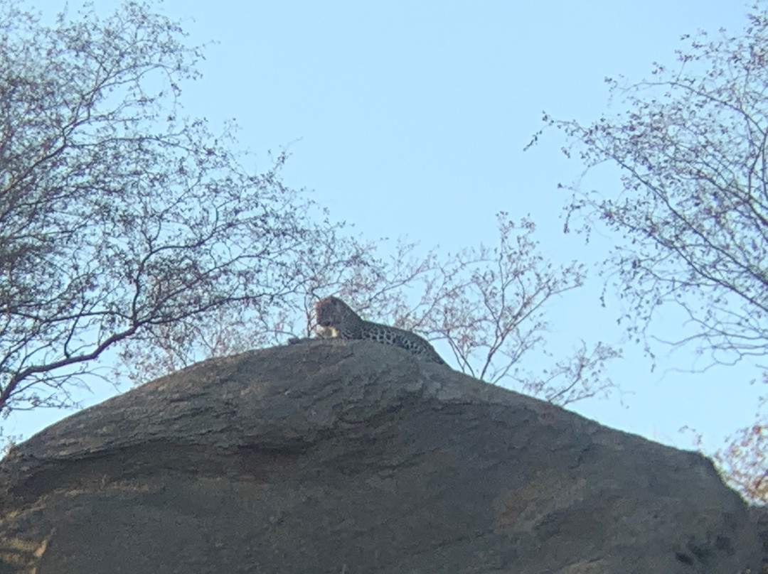 Ranakpur Adventures-拉那克普必去景点