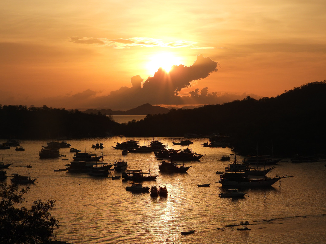 Borneo Eco Tour-Pangkalan Bun必去景点