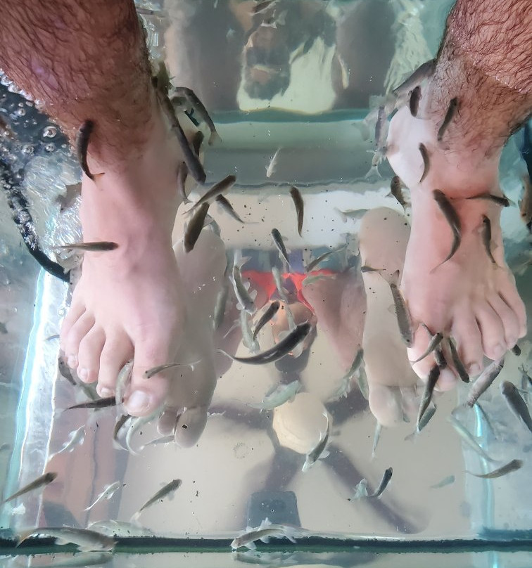 Islander Fish Spa-考祖梅必去景点