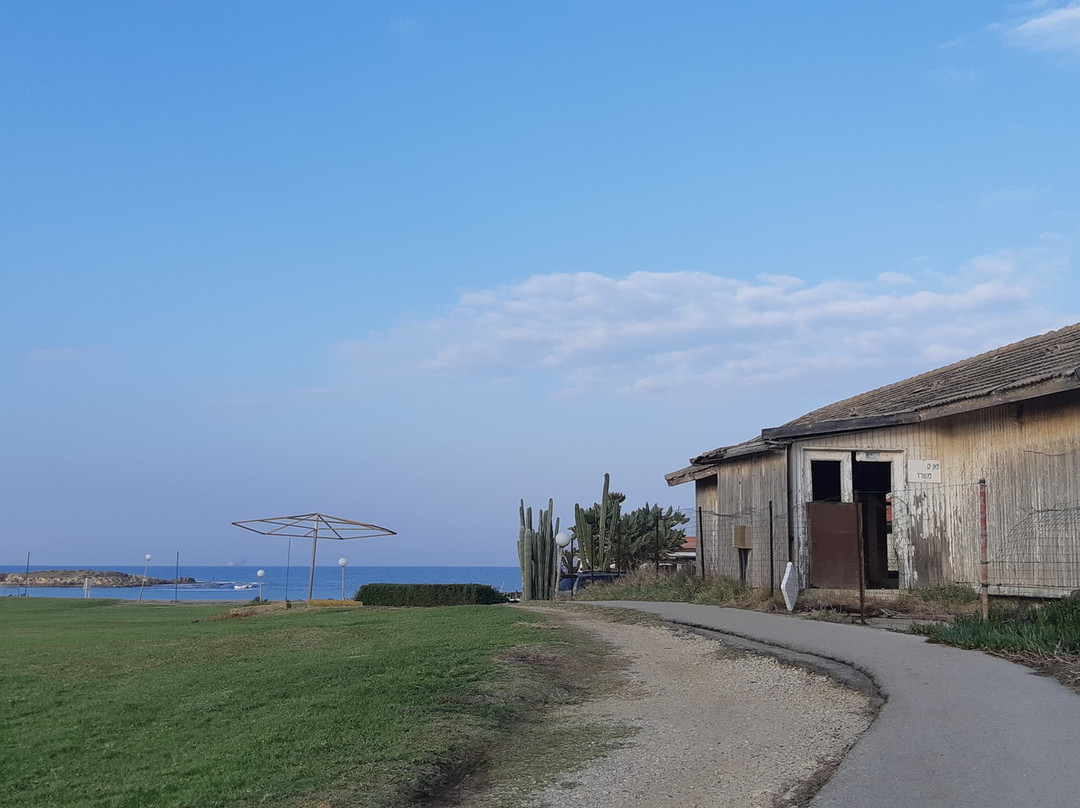 Nahsholim Beach Hotel主图