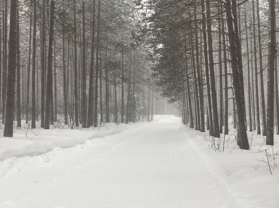 Swedetown Ski Trails-Calumet必去景点