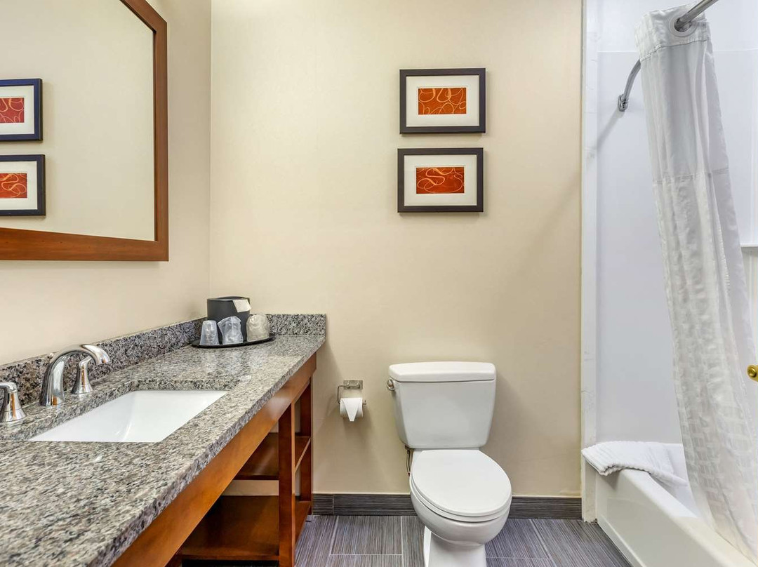 Comfort Suites Southgate主图