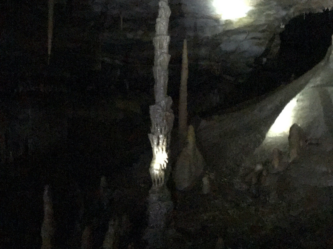 Inner Space Cavern景点图片