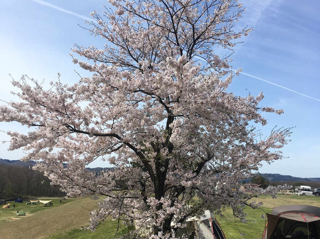 Snow Peak Headquaters Camp Field主图