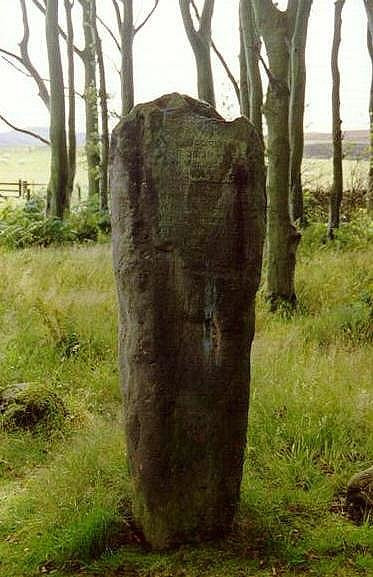 Cumbrae's Sole Standing Stone景点图片