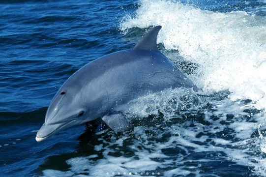 Five Stars Tours & Safaris-温德和克必去景点