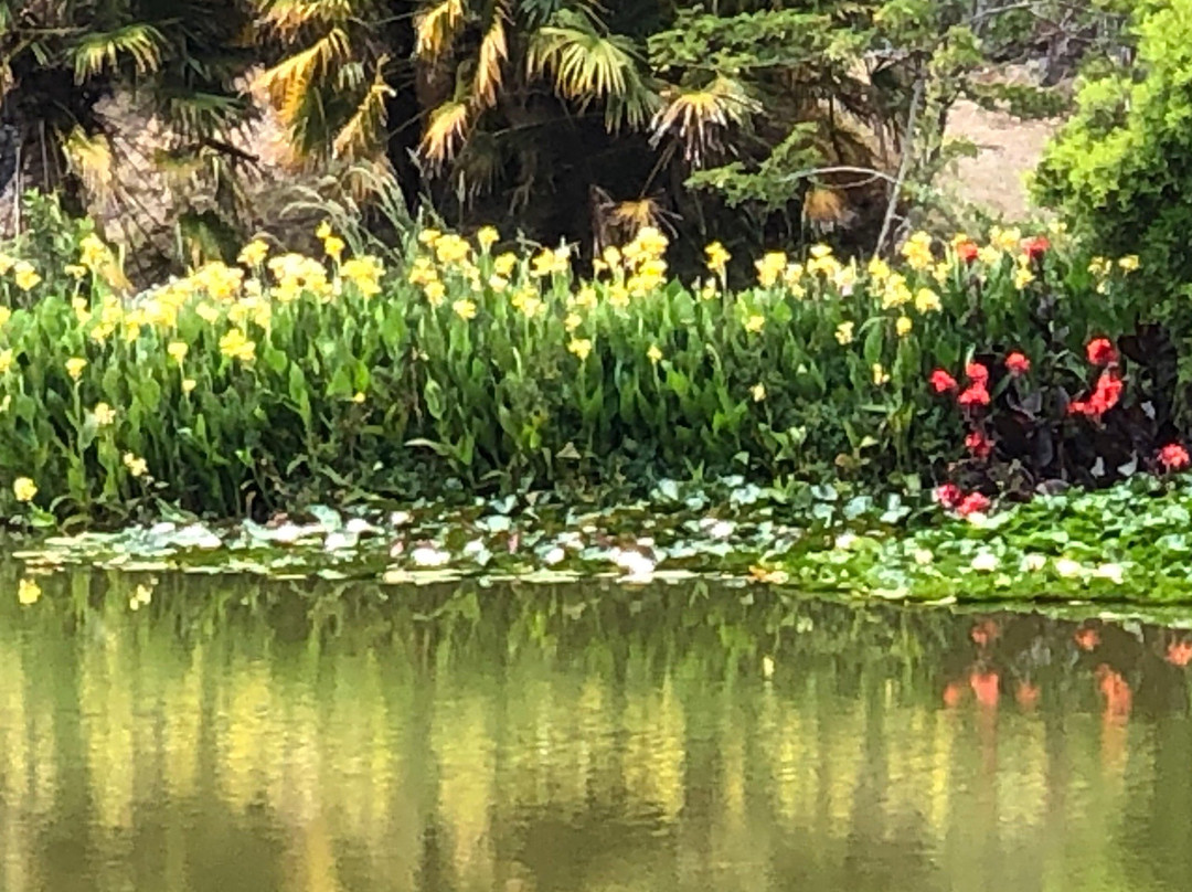 Whangārei Quarry Gardens景点图片