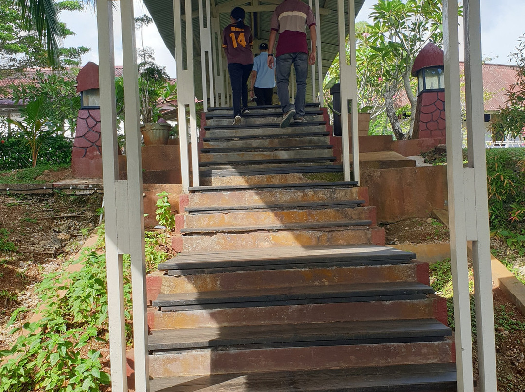 Asana Biak Papua主图