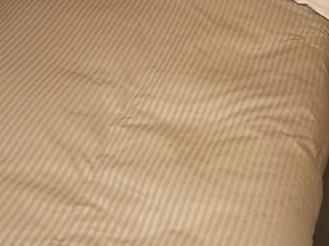 岛田站前路宾馆主图