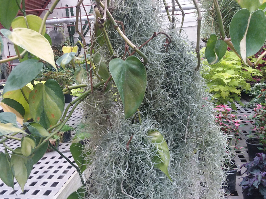 Vander Veer Botanical Park-达文波特必去景点