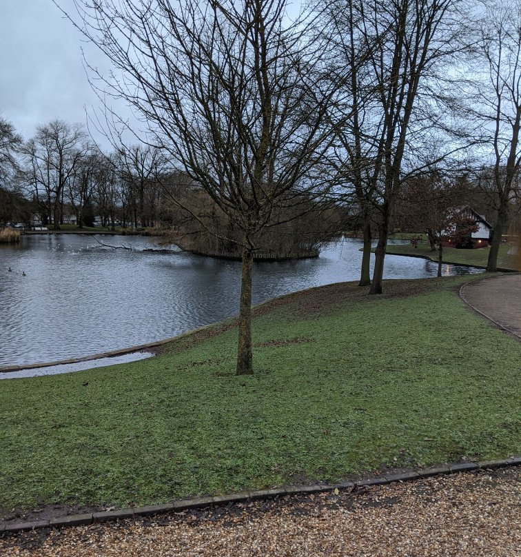 Hanley Park景点图片