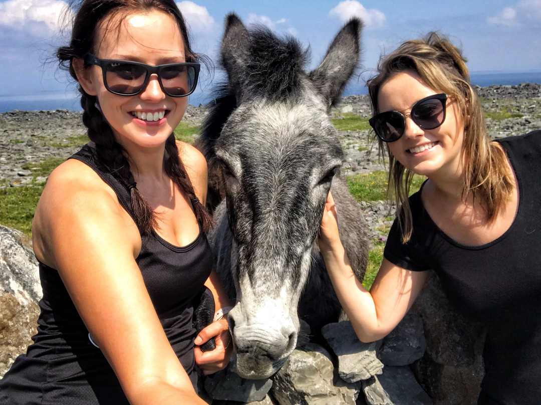 Shamrocker Irish Adventures - Day Tour-都柏林必去景点