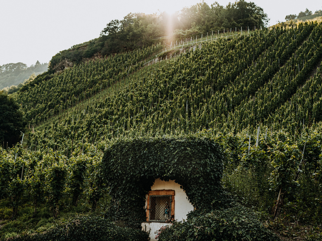 Weingut Meurer-Reil必去景点