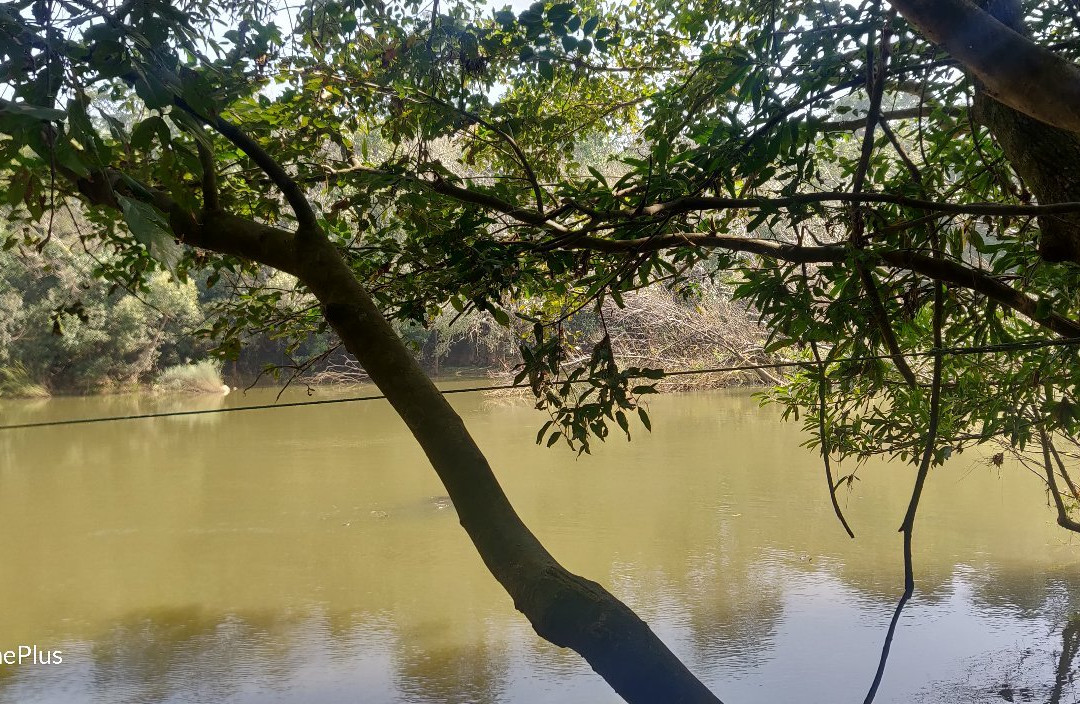 Kuruvadweep-卡尔贝塔必去景点