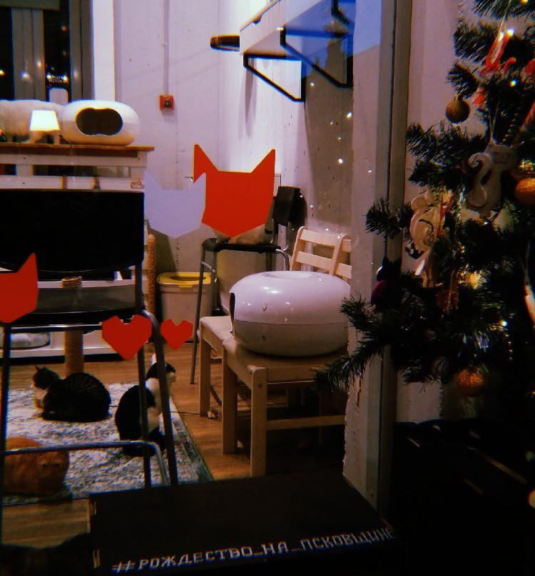 Cats City景点图片