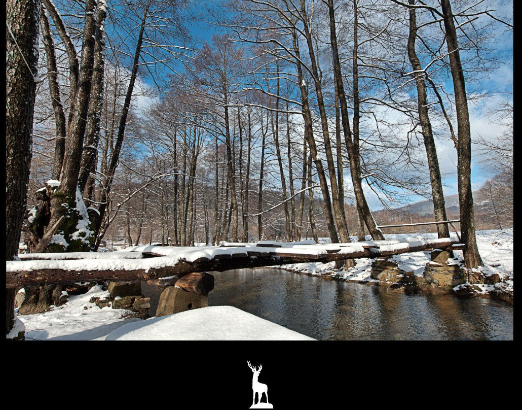 Palivor Ciftligi主图