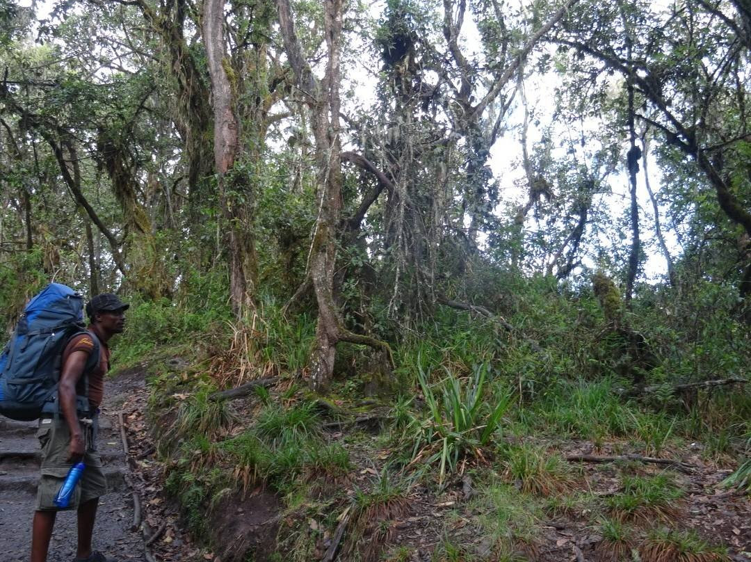 Alligator Trekking and Safaris-阿鲁沙必去景点