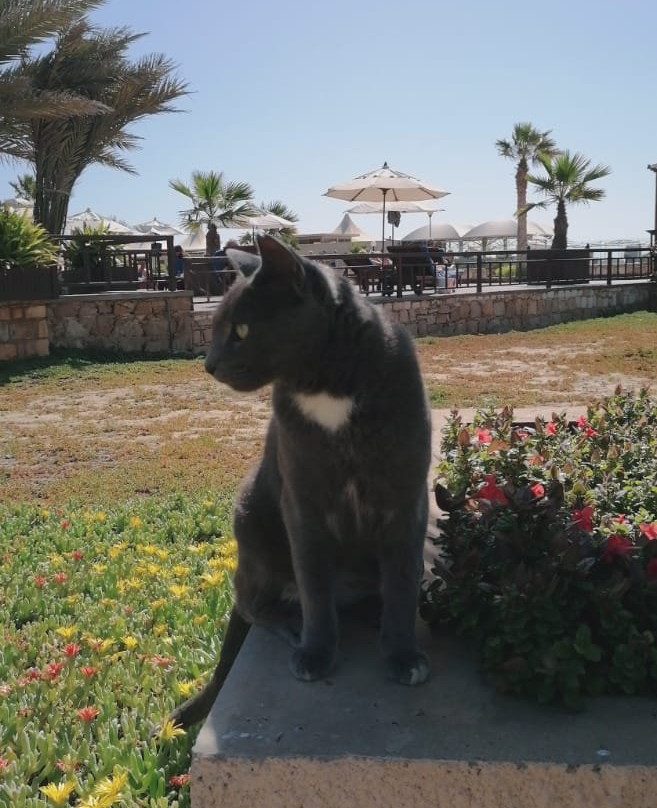 Hotel Morabeza主图