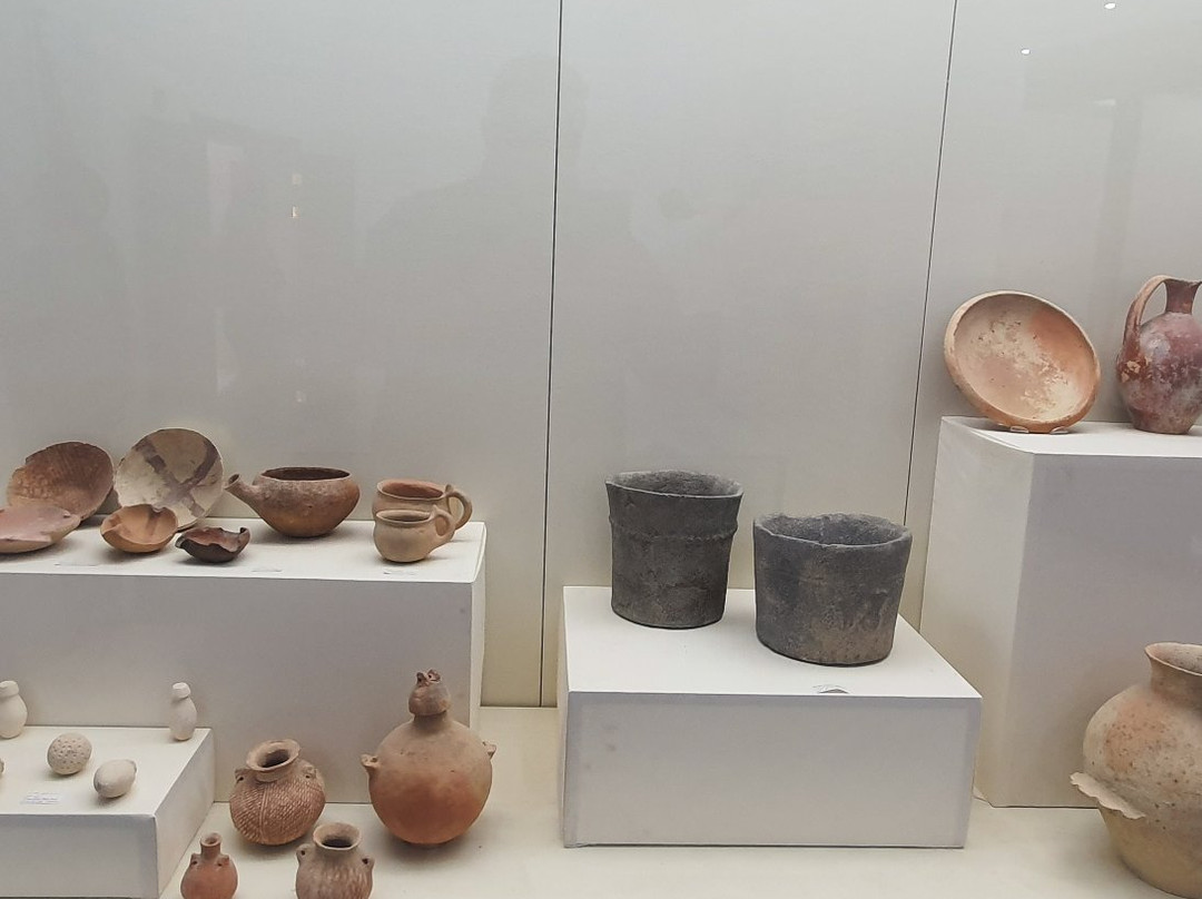 The Museum at the Lowest Place on Earth-Safi必去景点