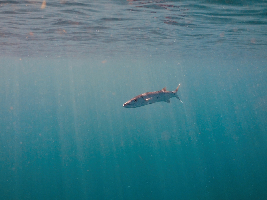 Aquatic Adventures-库莱布拉岛必去景点