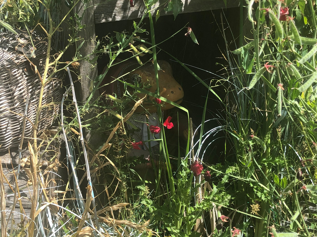 The Peter Rabbit Garden景点图片