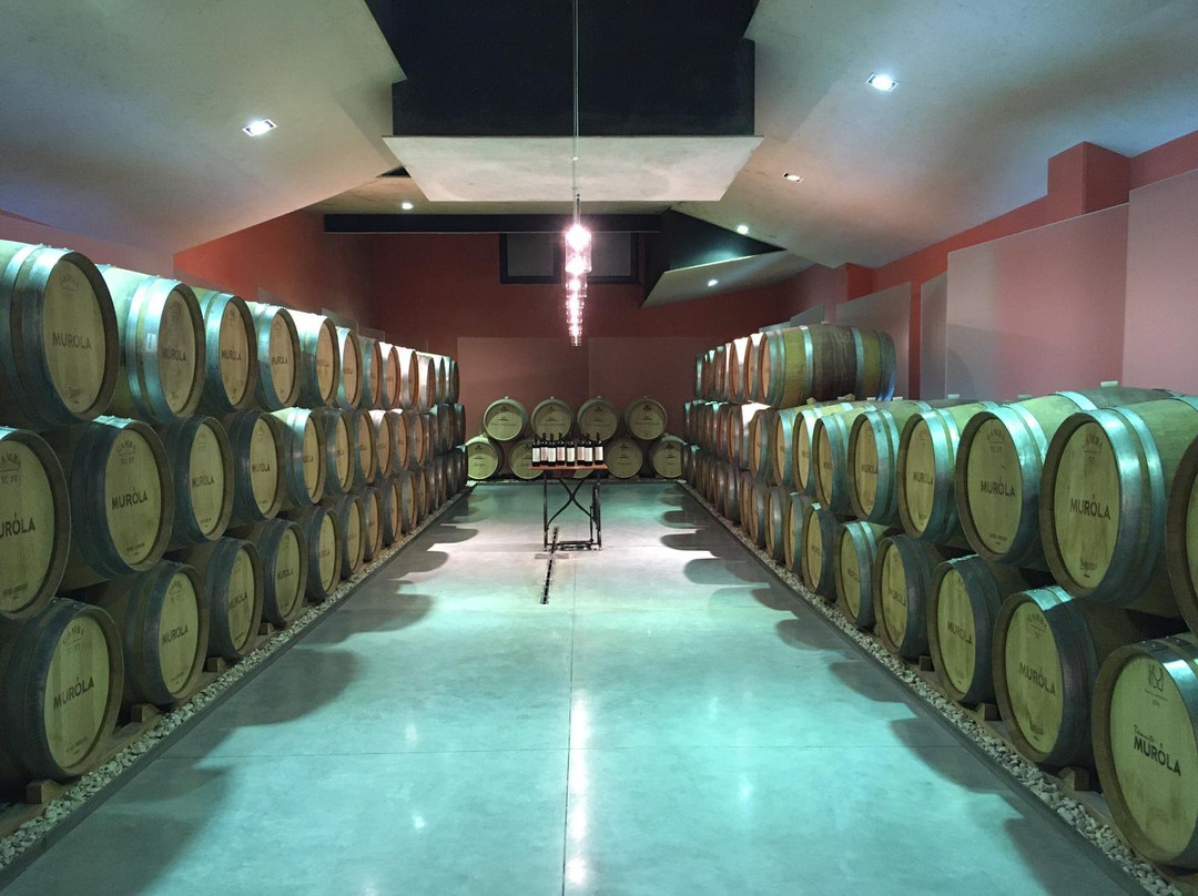 Tenuta Murola Cantina景点图片