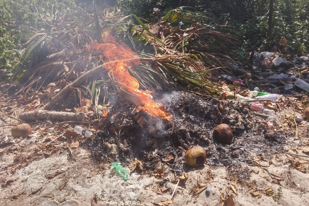 Penang Monkey Beach-峇都丁宜必去景点