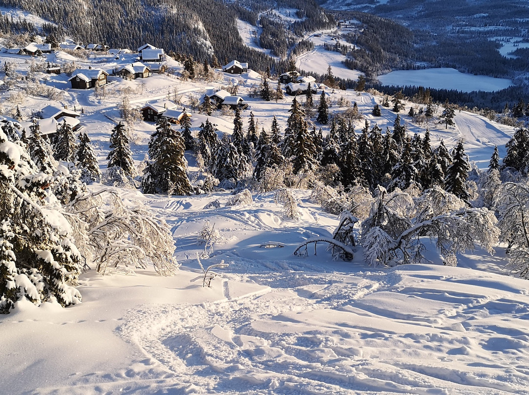 Stavadalen Ski Center景点图片