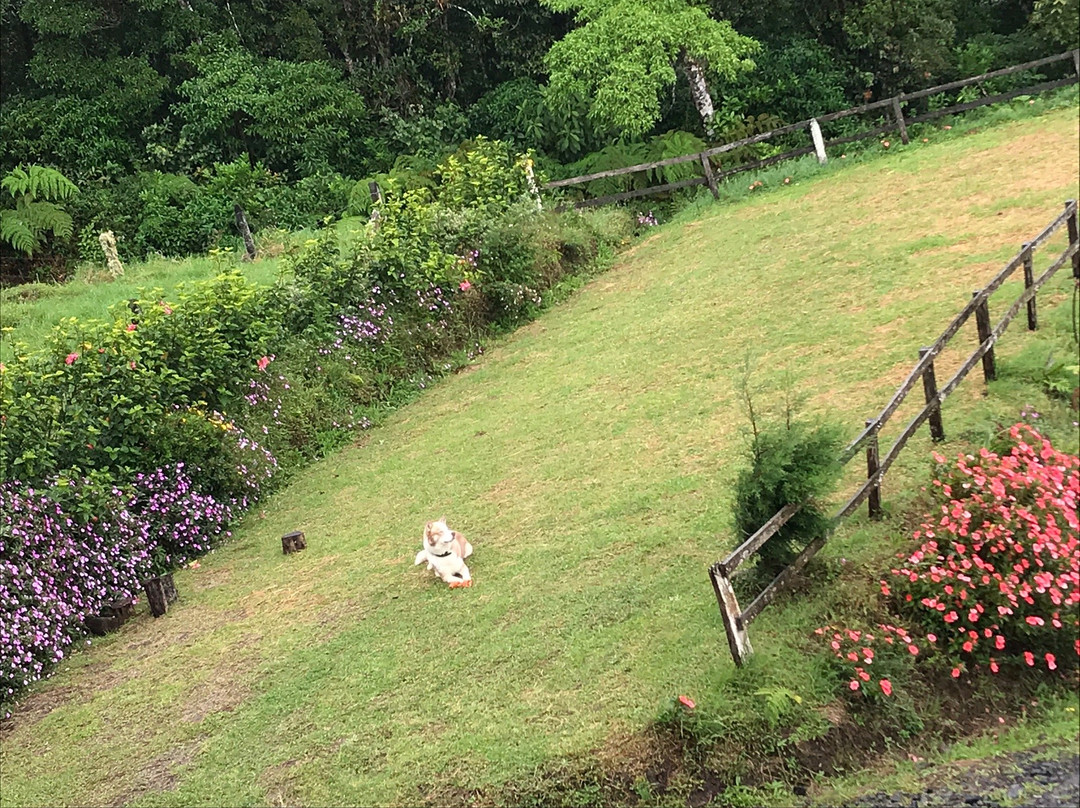 San Vicente HideAway主图