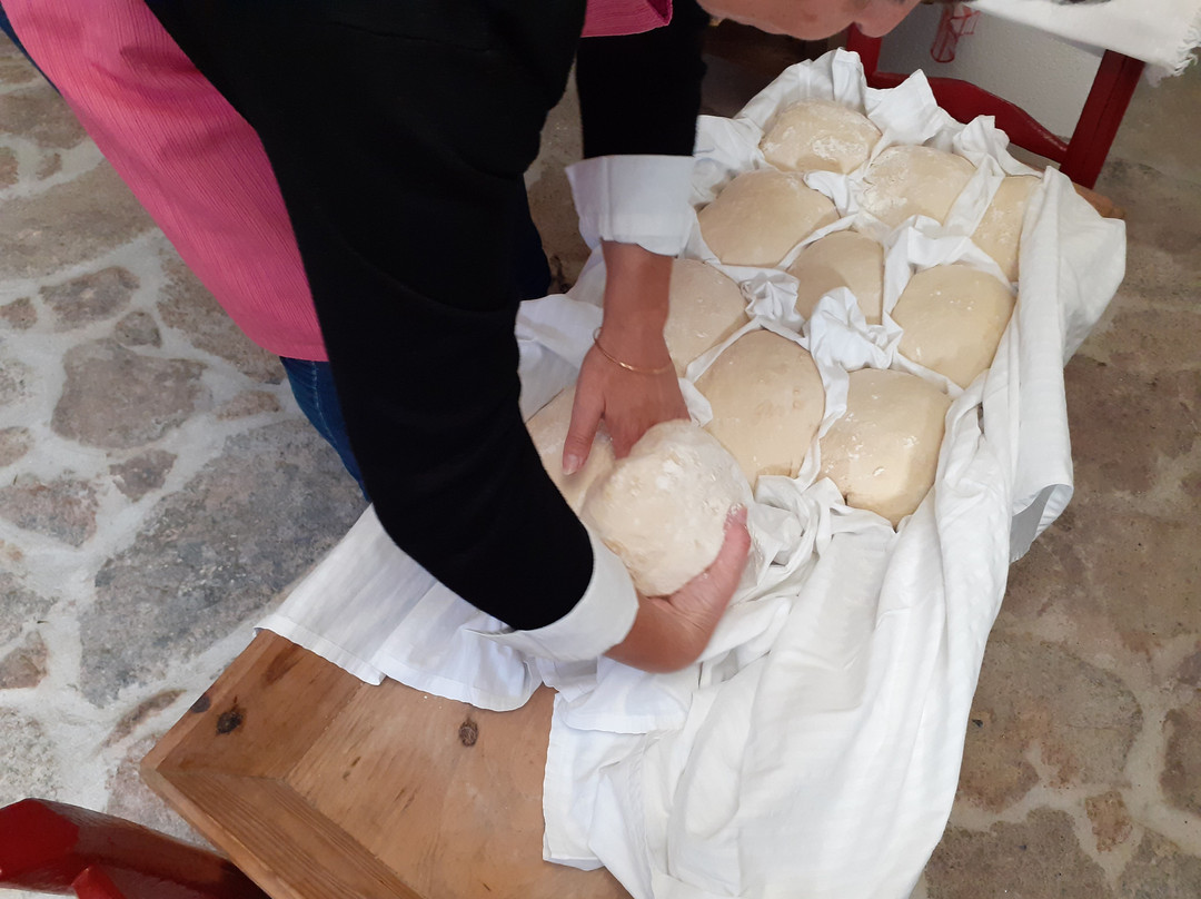 Aromas dos Salgueiros主图