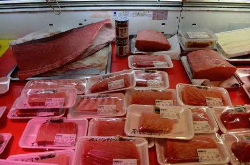 Sakata Seafood Market-酒田市必去景点