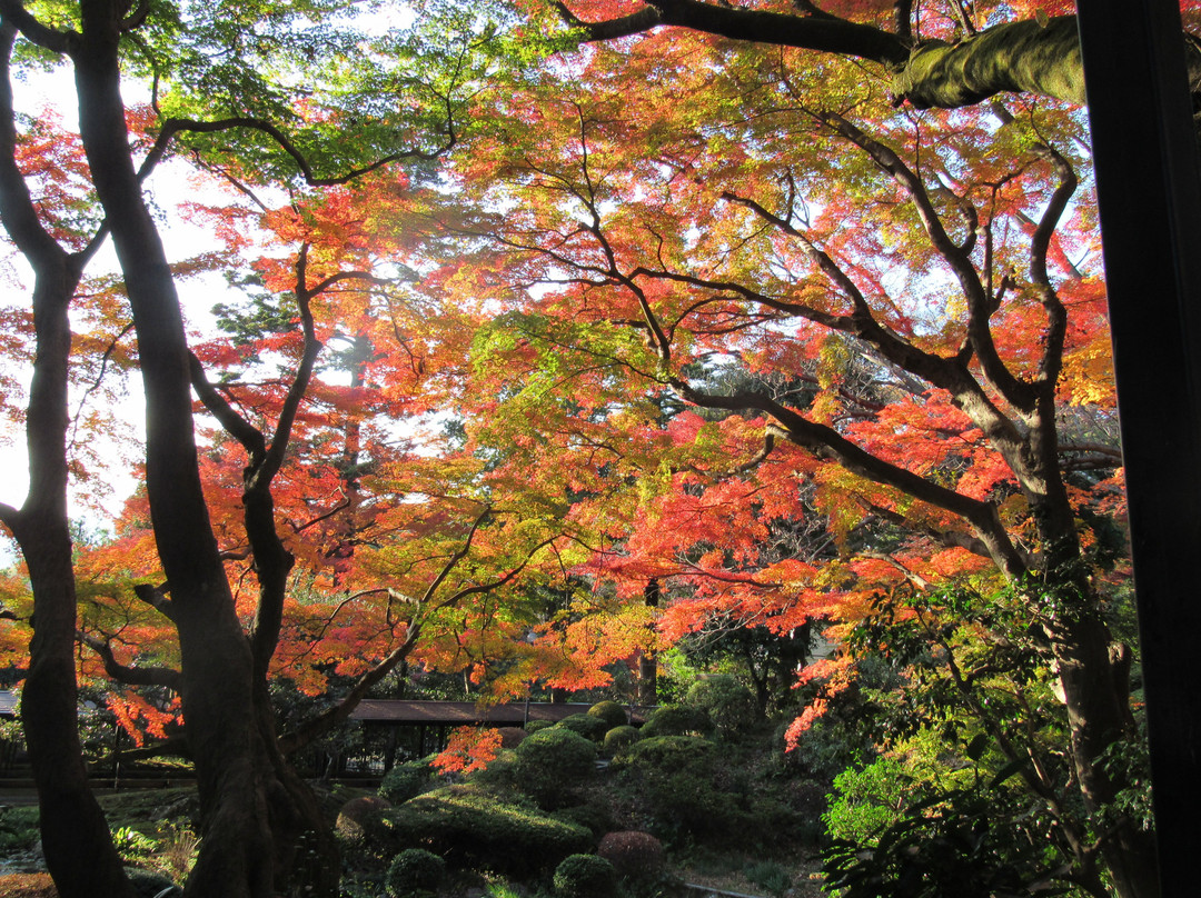 Odawara Kokian景点图片