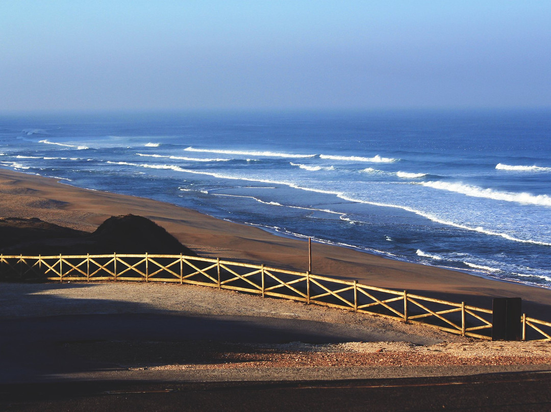 Atlantic Coast Surf School景点图片