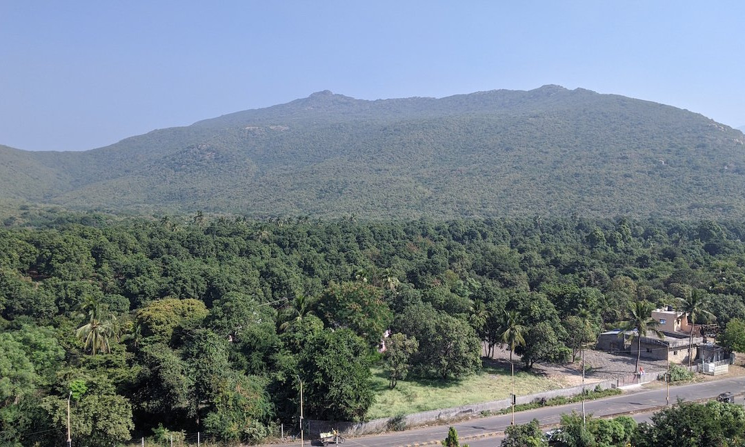 Adi Kadi Vav-居那加德必去景点