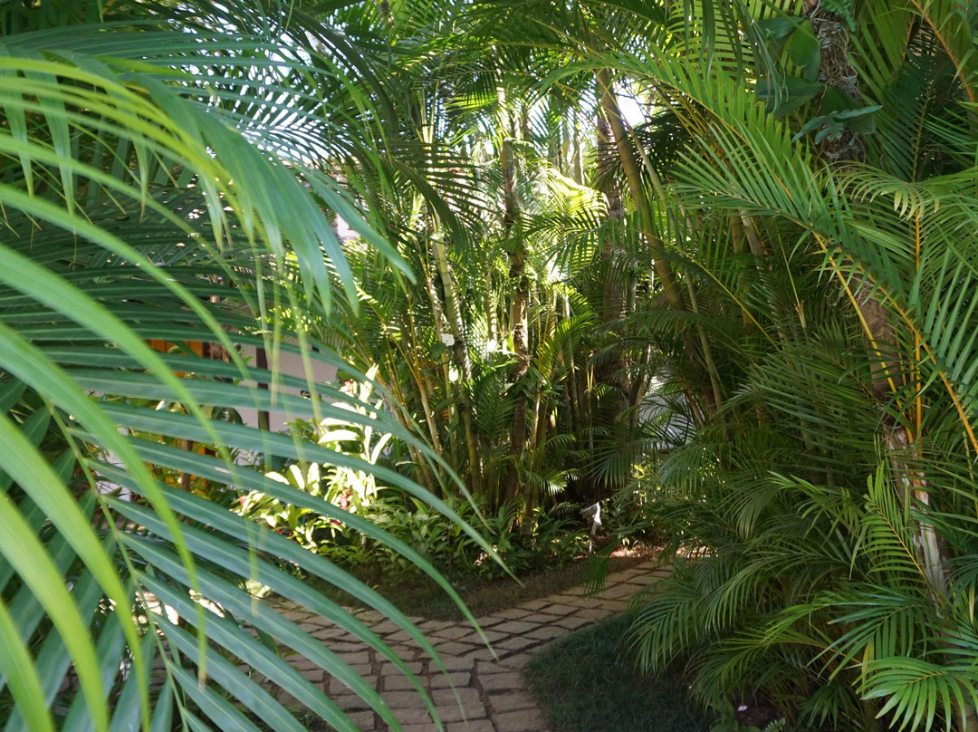 杜欧鲁望厦宾馆主图