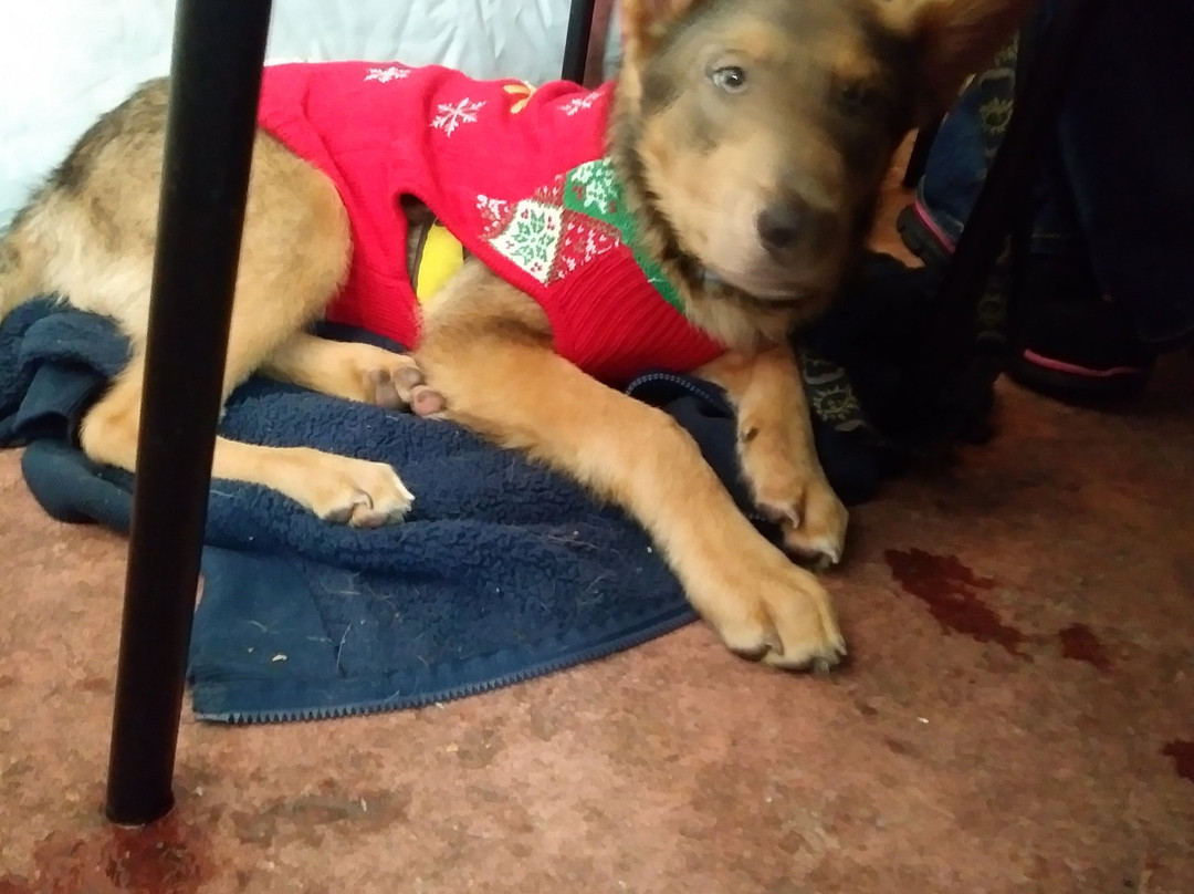 Stanley's Northeast Bar Room-明尼阿波利斯必去景点