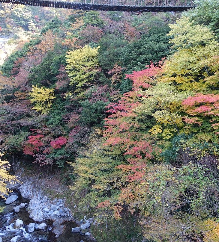 Momigi Suspension Bridge-八代市必去景点