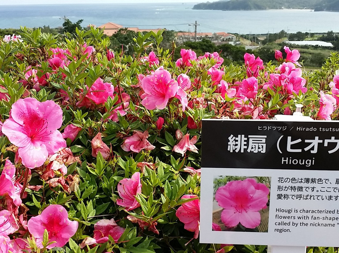 Tsutsuji Eco Park景点图片