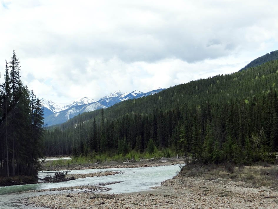 Kicking Horse River景点图片