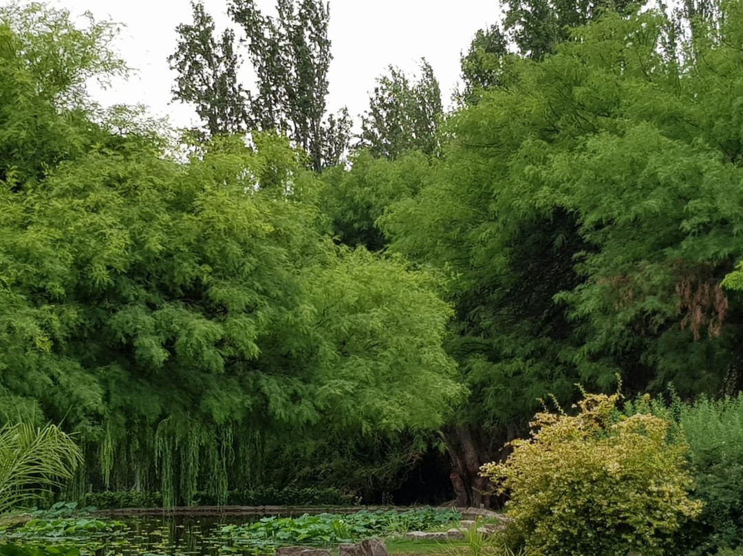 Posada del Olivo主图