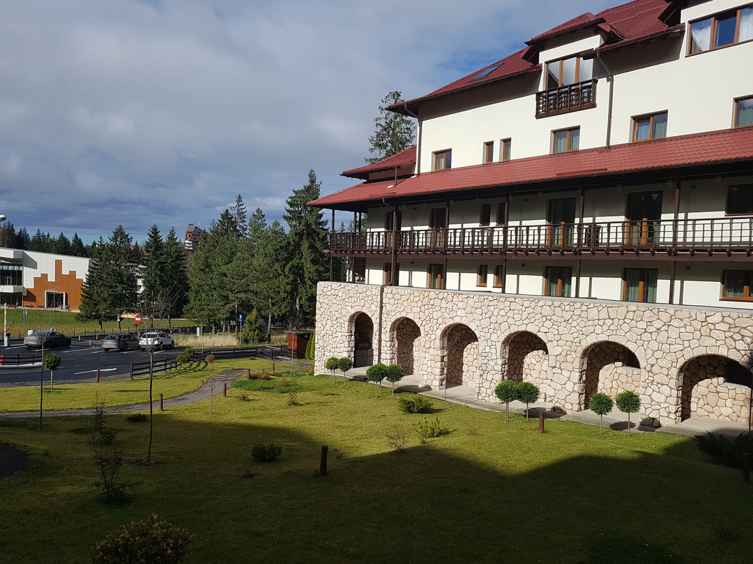 Ana Hotels Sport Poiana Brasov主图