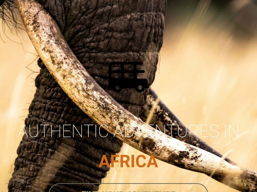 WildEx Safari Fixers-Embakasi必去景点