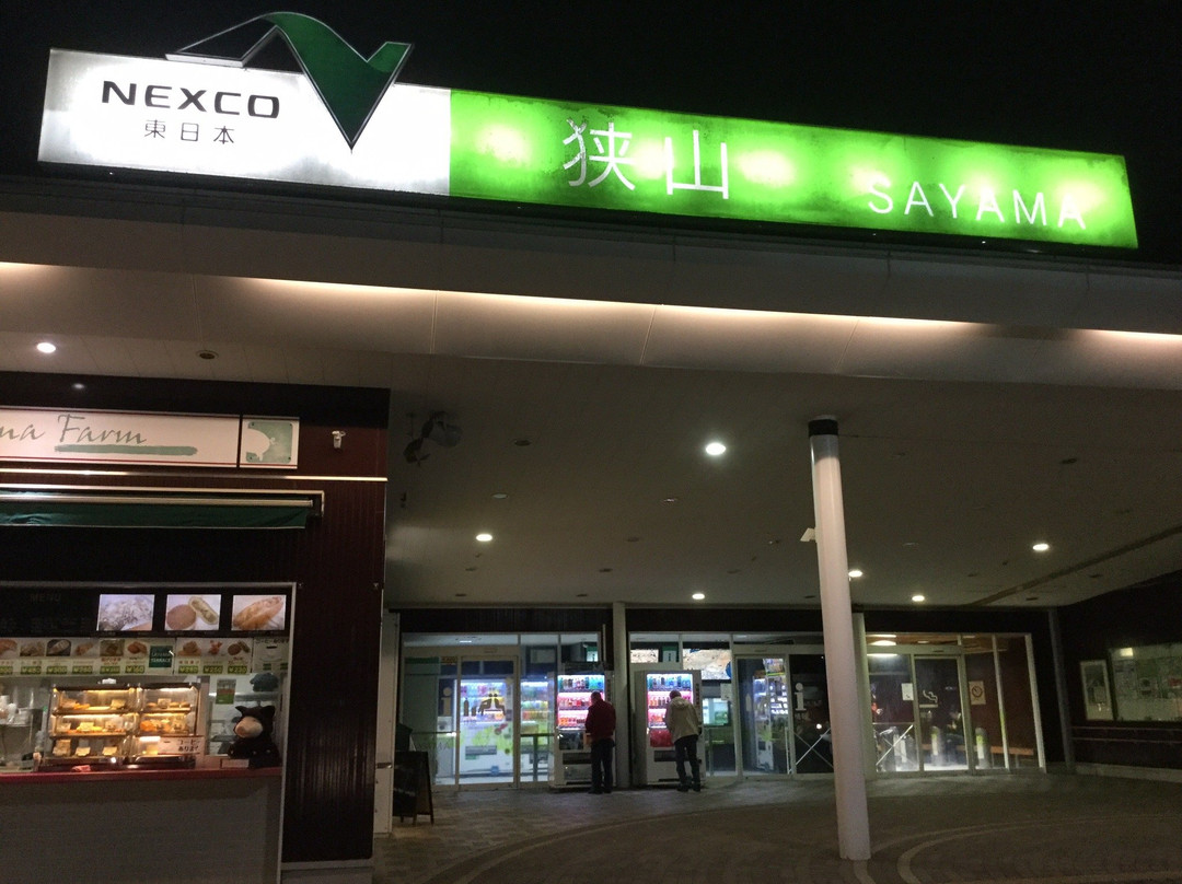 Sayama Parking Area Outside-狭山市必去景点