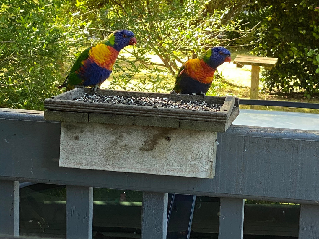 Litchfield Lodge Bed & Breakfast主图