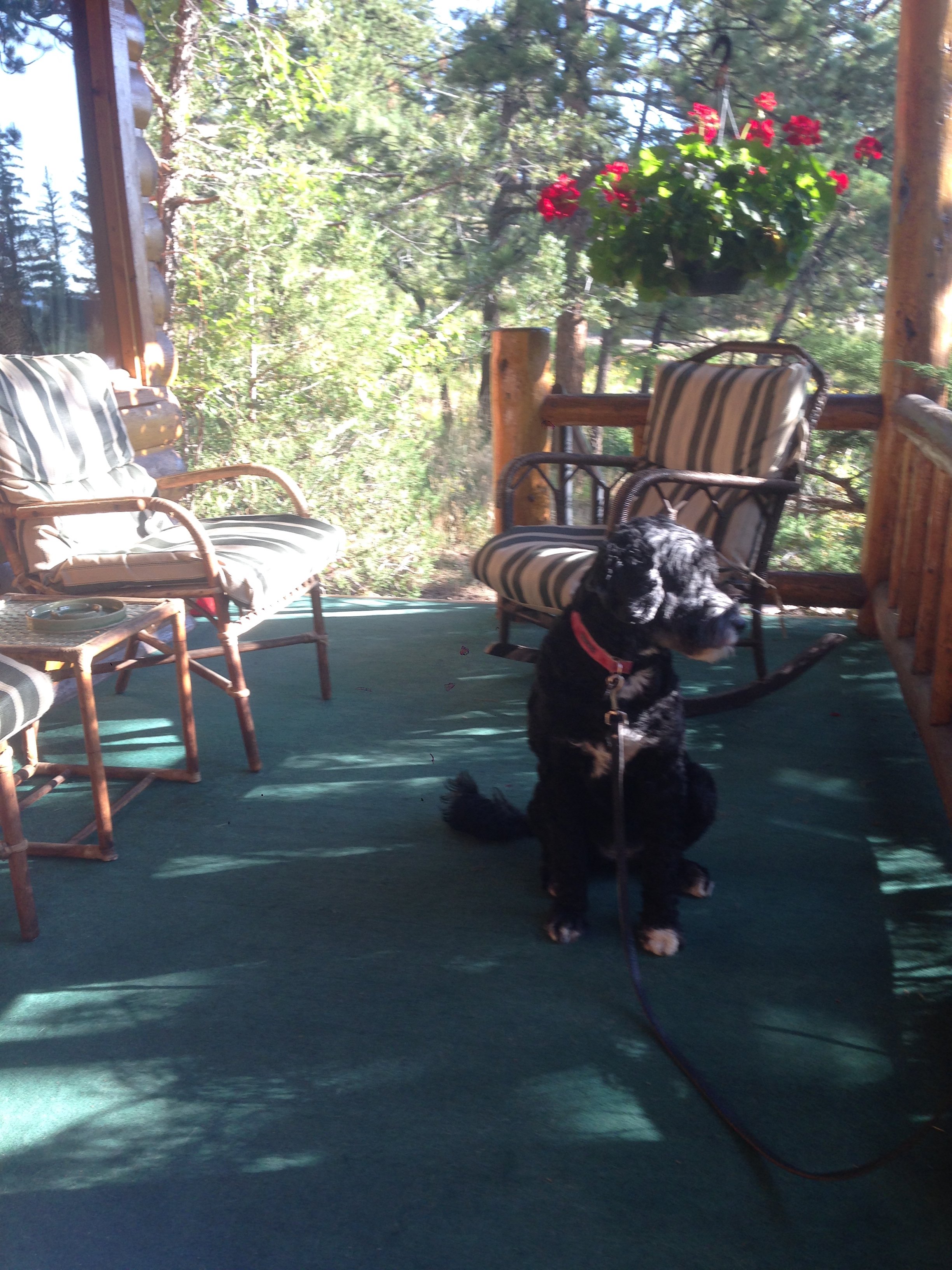 Braeside Cabin-酒店景观