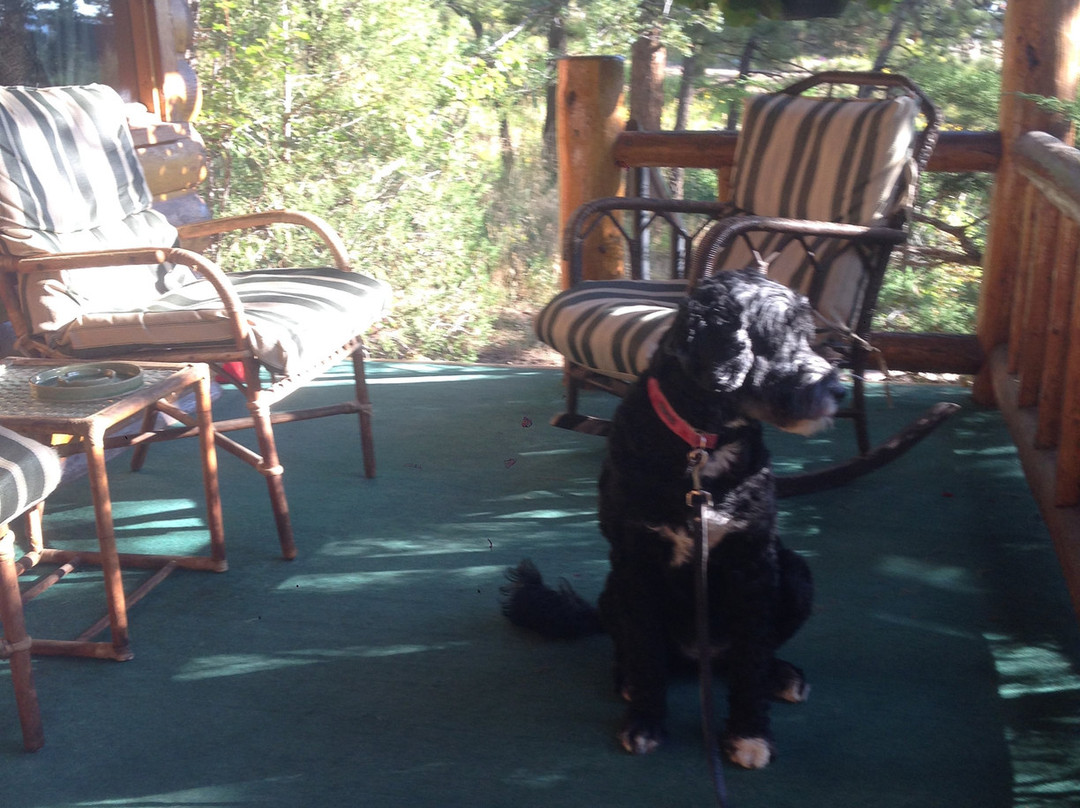 Braeside Cabin主图