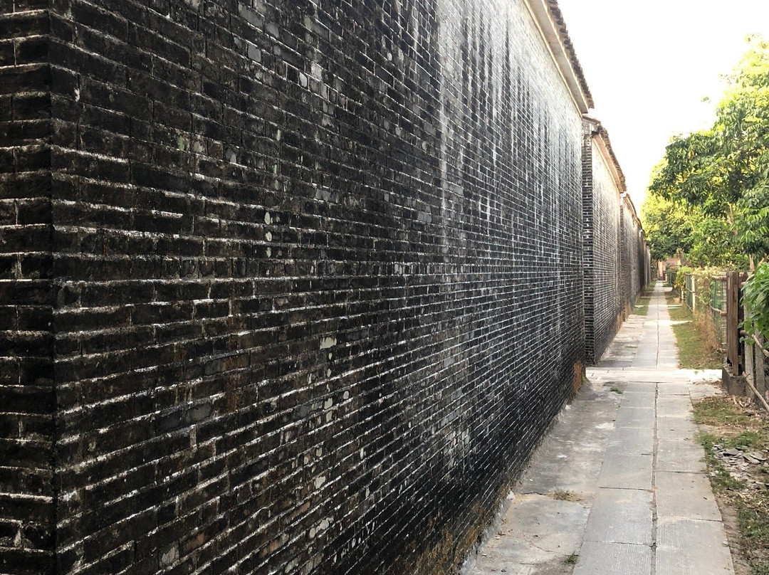 开平马降龙碉楼群景点图片
