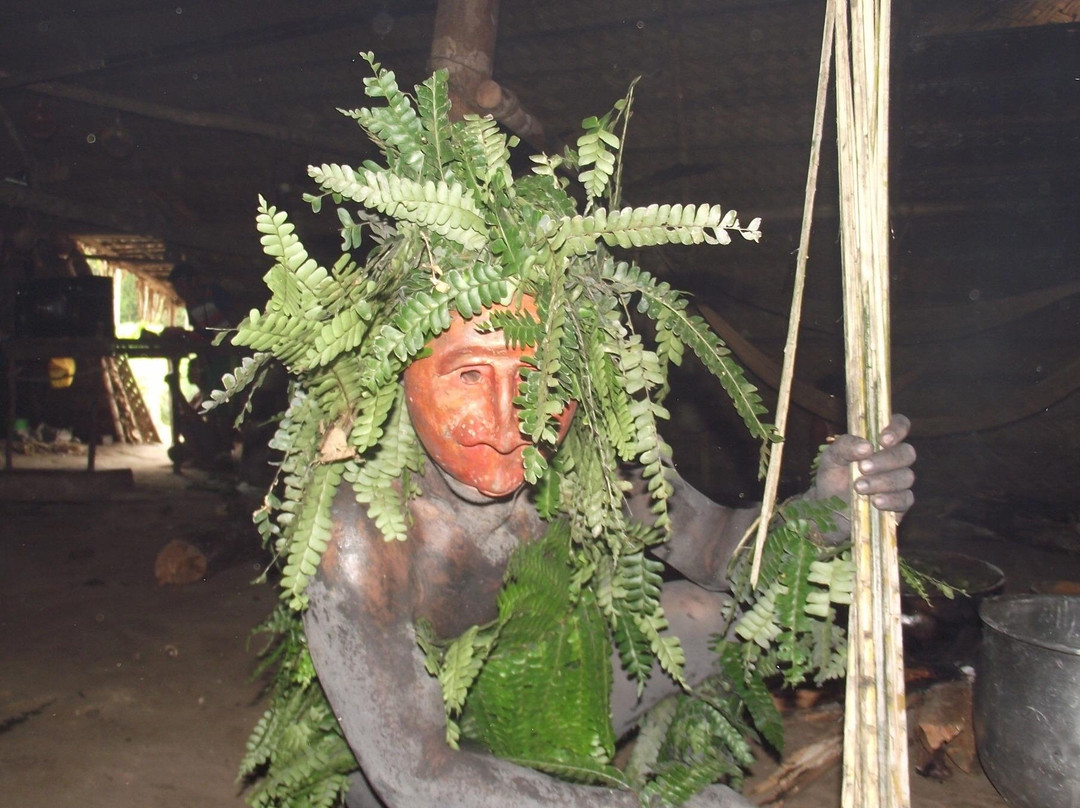 Javari Expeditions-Atalaia do Norte必去景点